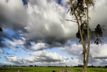 FB体育官网-法国足坛冠军大将如何战胜身体不适，重返巅峰