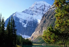 FB体育APP-德甲重磅对决：掘金迎战拜仁，出线形势今夜定乾坤！