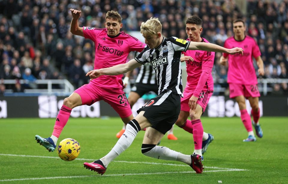 FB体育官方网站-莱斯特城主场大胜富勒姆，冲刺前四