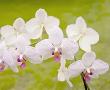 FB体育官方网站-兰斯队员心态平和，备战下一轮比赛