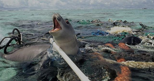 南极洲球员在国际友谊赛中斩获佳绩 南极洲球员在国际友谊赛中斩获佳绩