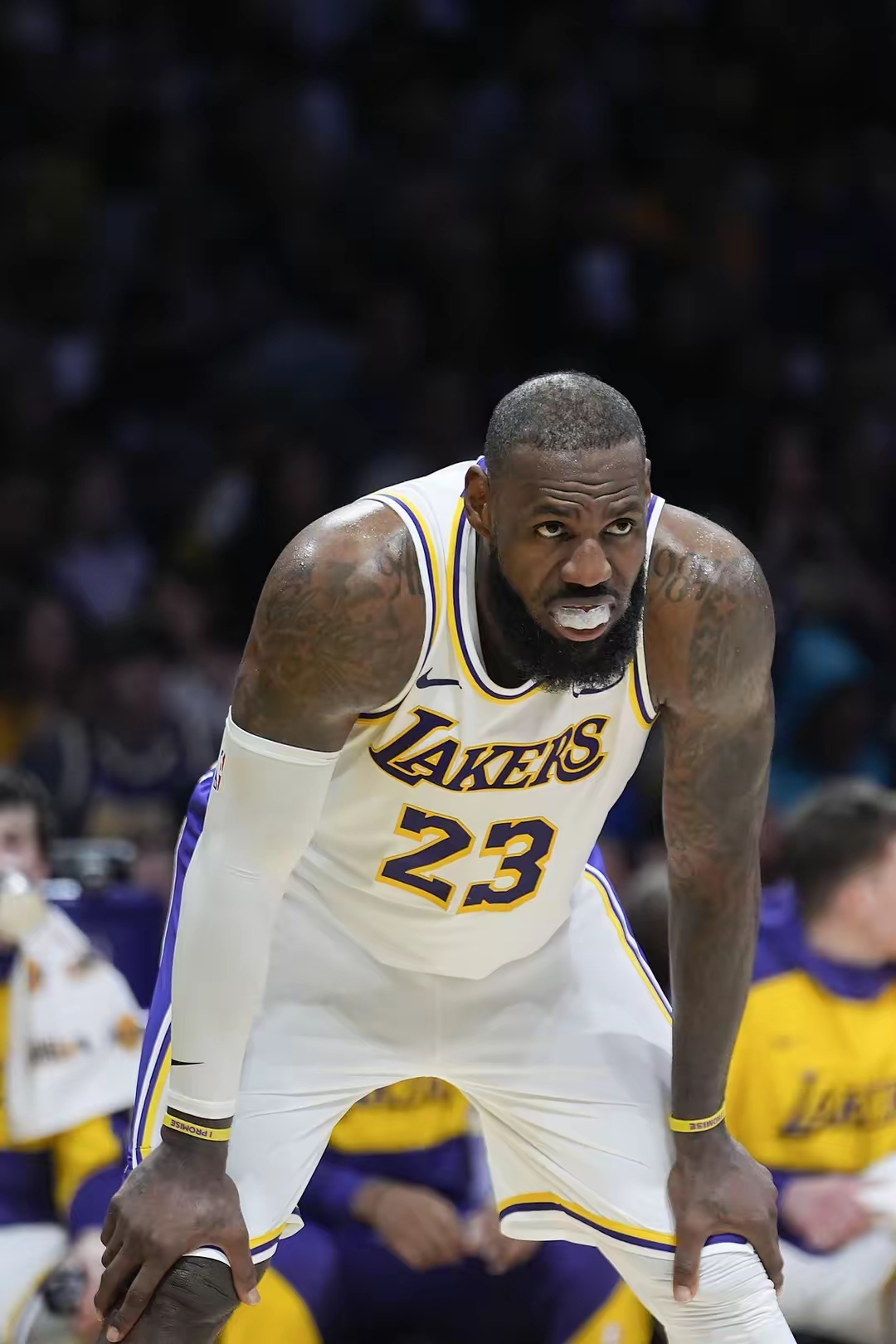 包含湖人逆袭灰熊,詹姆斯控场能力爆表的词条 包含湖人逆袭灰熊,詹姆斯控场能力爆表的词条